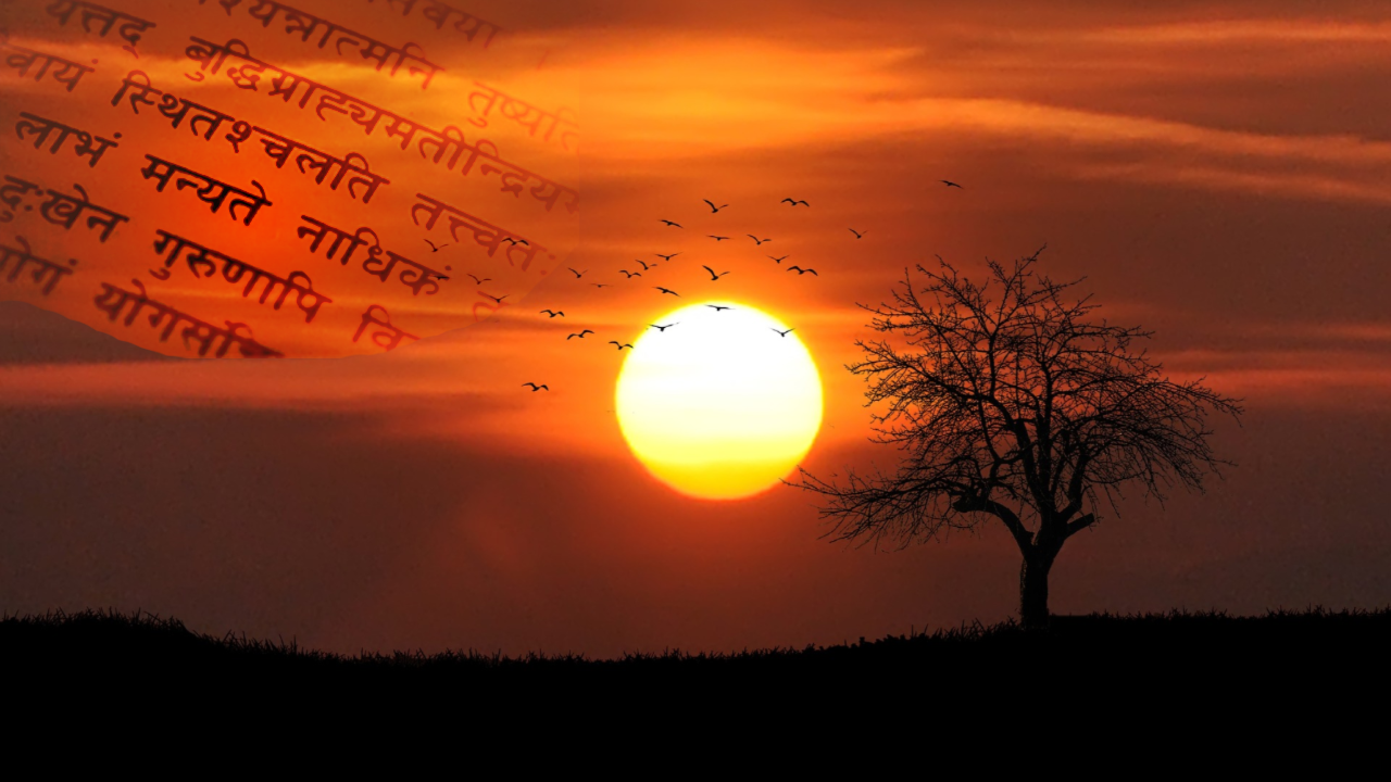 new-life-for-sanskrit-lessons-from-hebrew-revival-nithin-sridhar