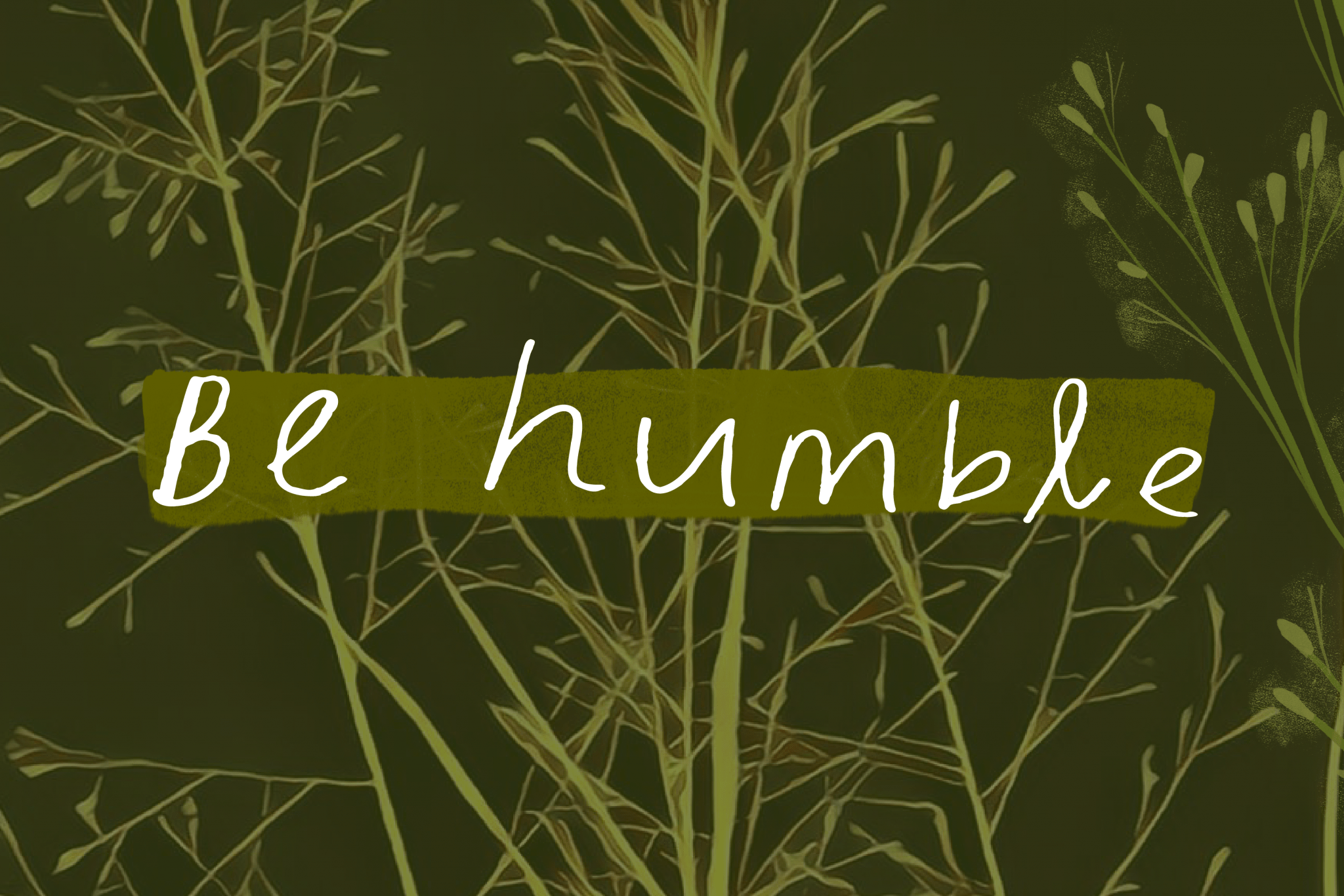 Small Pebble Humility Humility in a Dropseed - Sheeba Naaz